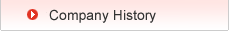 Company History